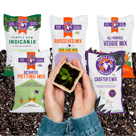 Find the Right Mix for Your Growing Needs