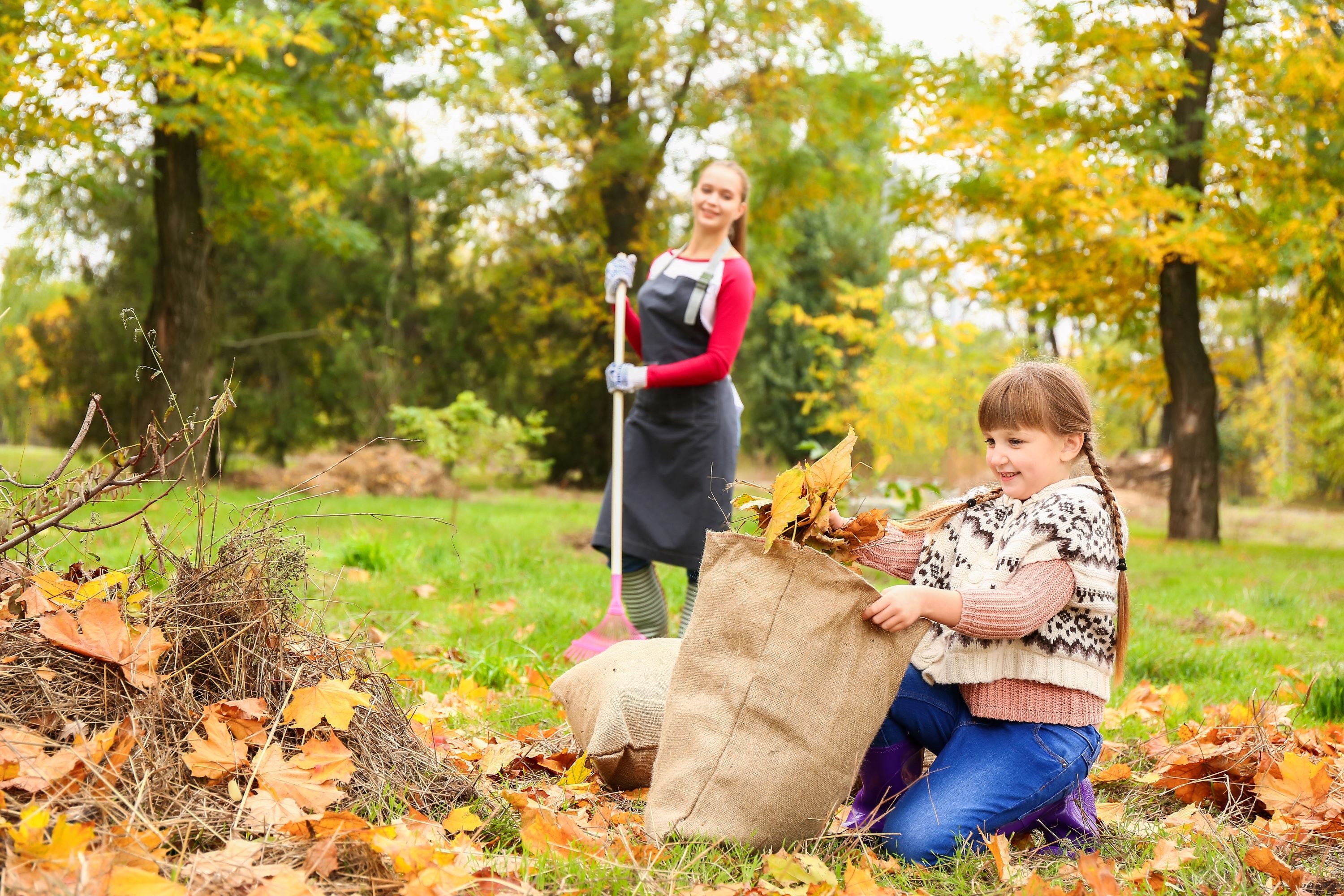 Late Season Success: Get Gardens Ready for Fall