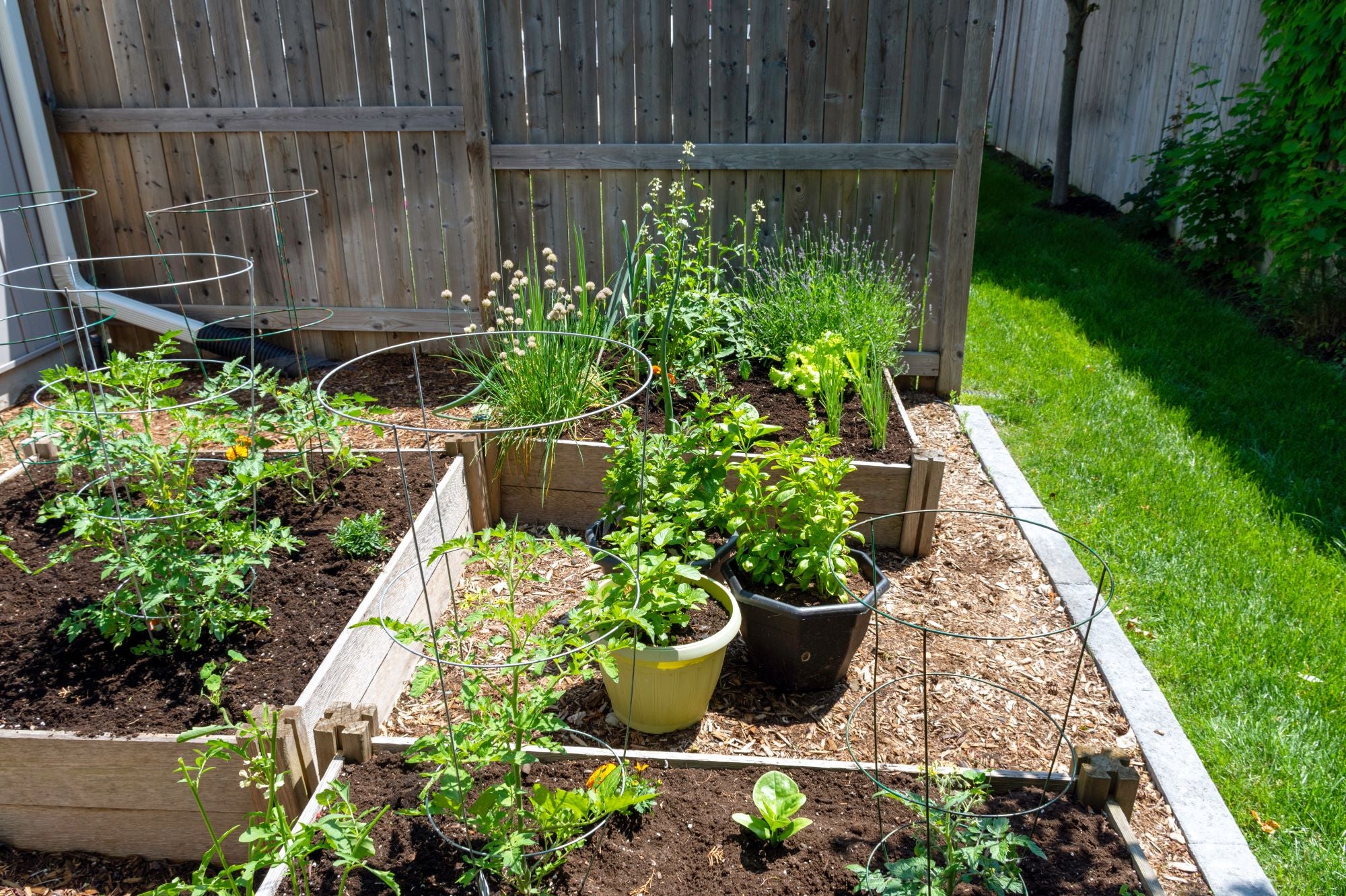 Foundational Products for Every Garden