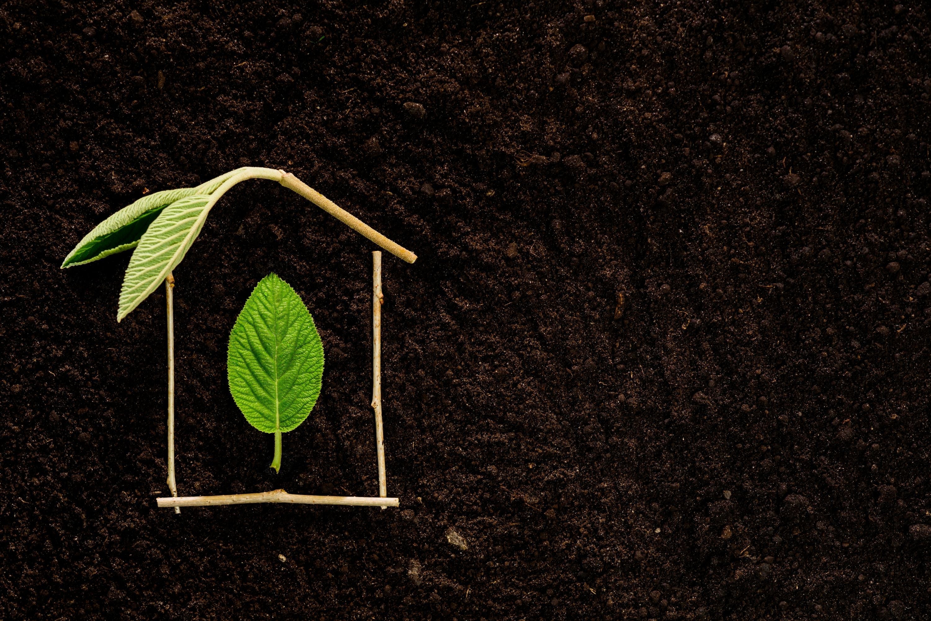 Microbes at Work: Biological Modes of Action in Your Soil