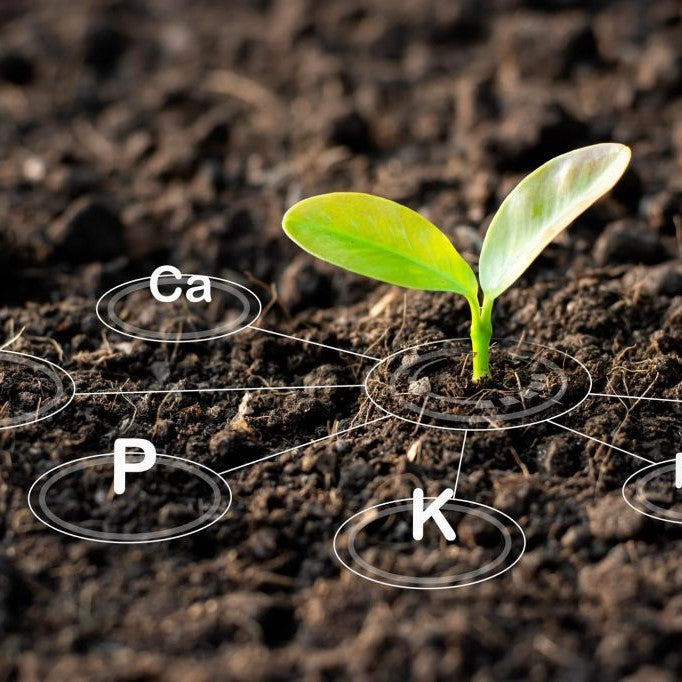 Growing Biologically: Greenhouses and CX-1