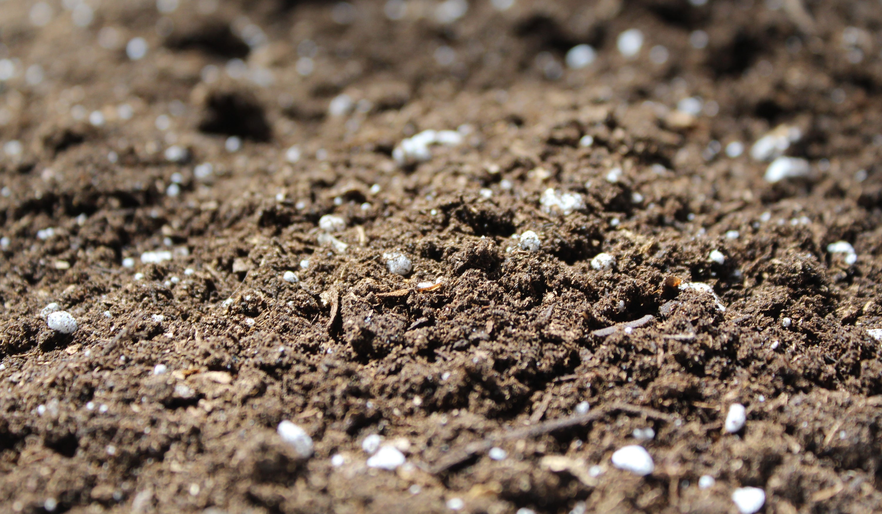 DIY Cannabis Soil: How to Customize the Perfect Blend