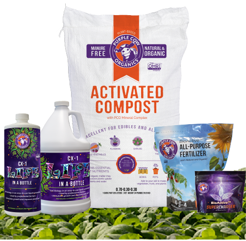 Let's Talk About Soil Amendments