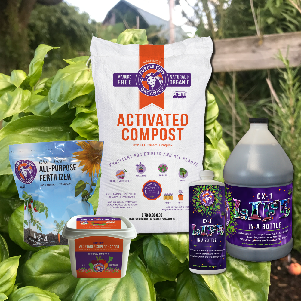 It's Time for a Mid-Season Boost!