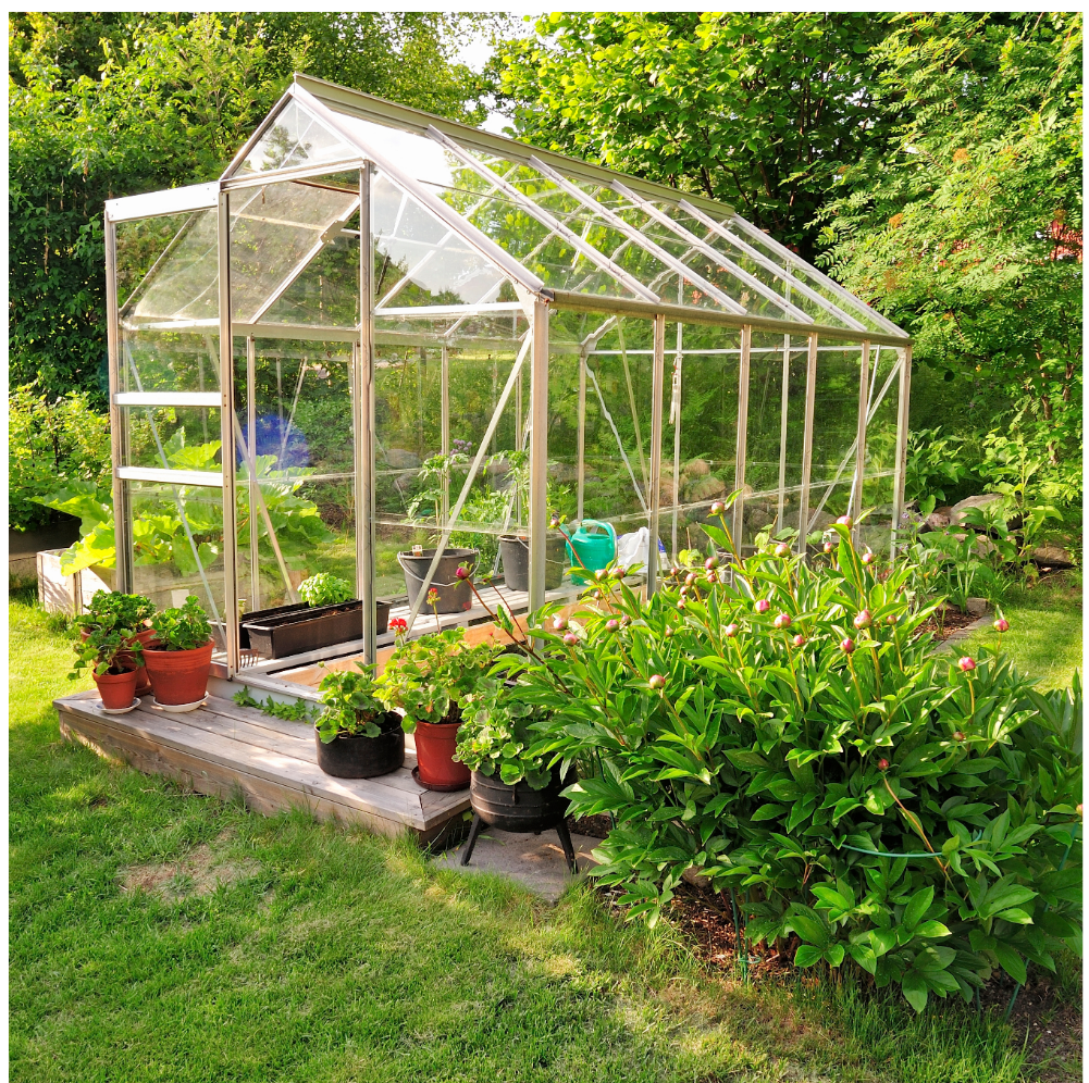 The Best Biological Growing Media for Greenhouse Growers