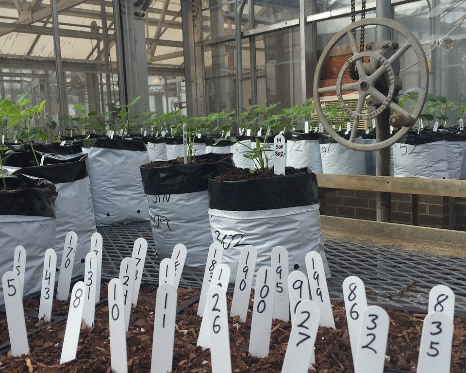 How to Extend the Life of Your Growing Media