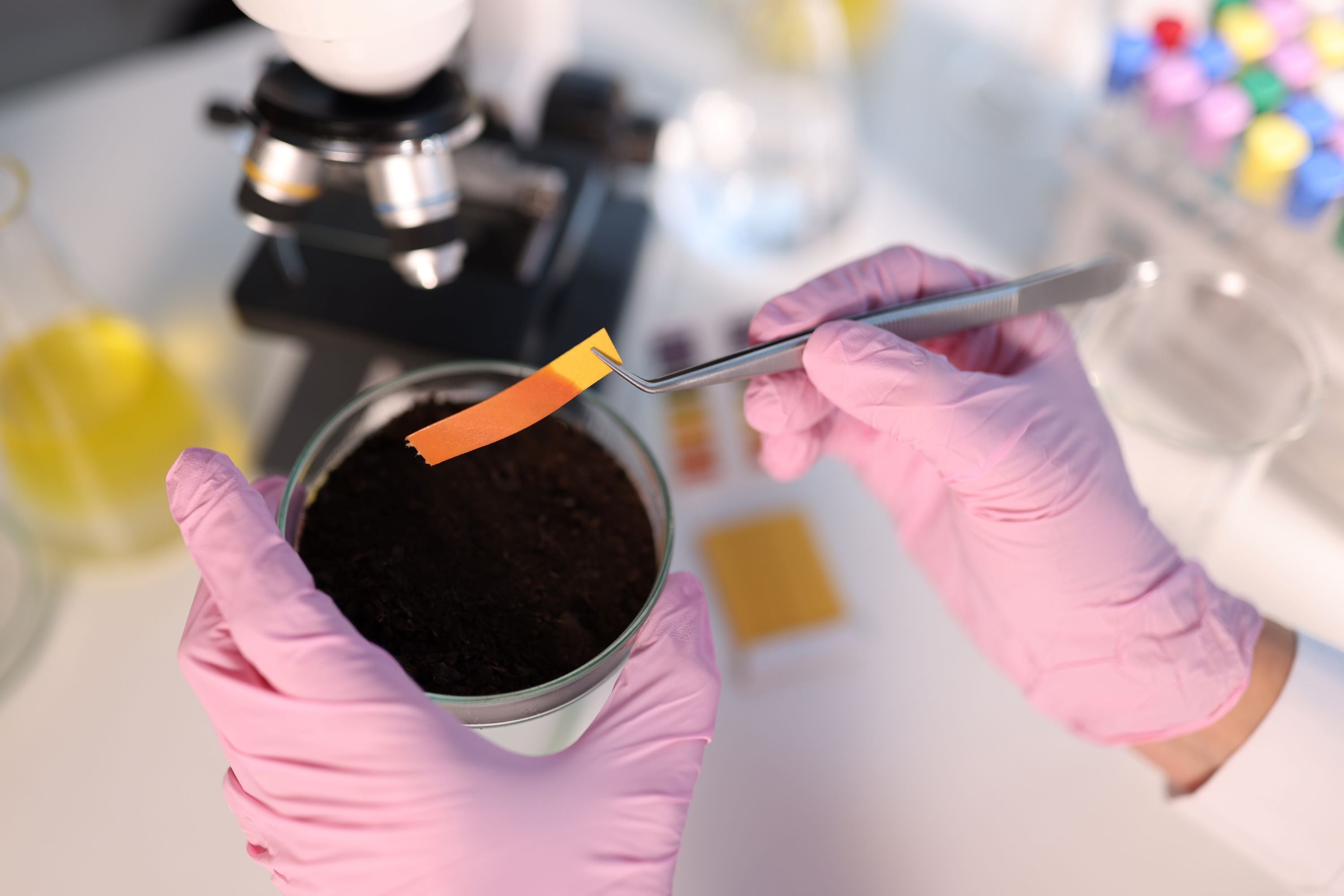 The Balancing Act: Managing Cannabis Soil pH