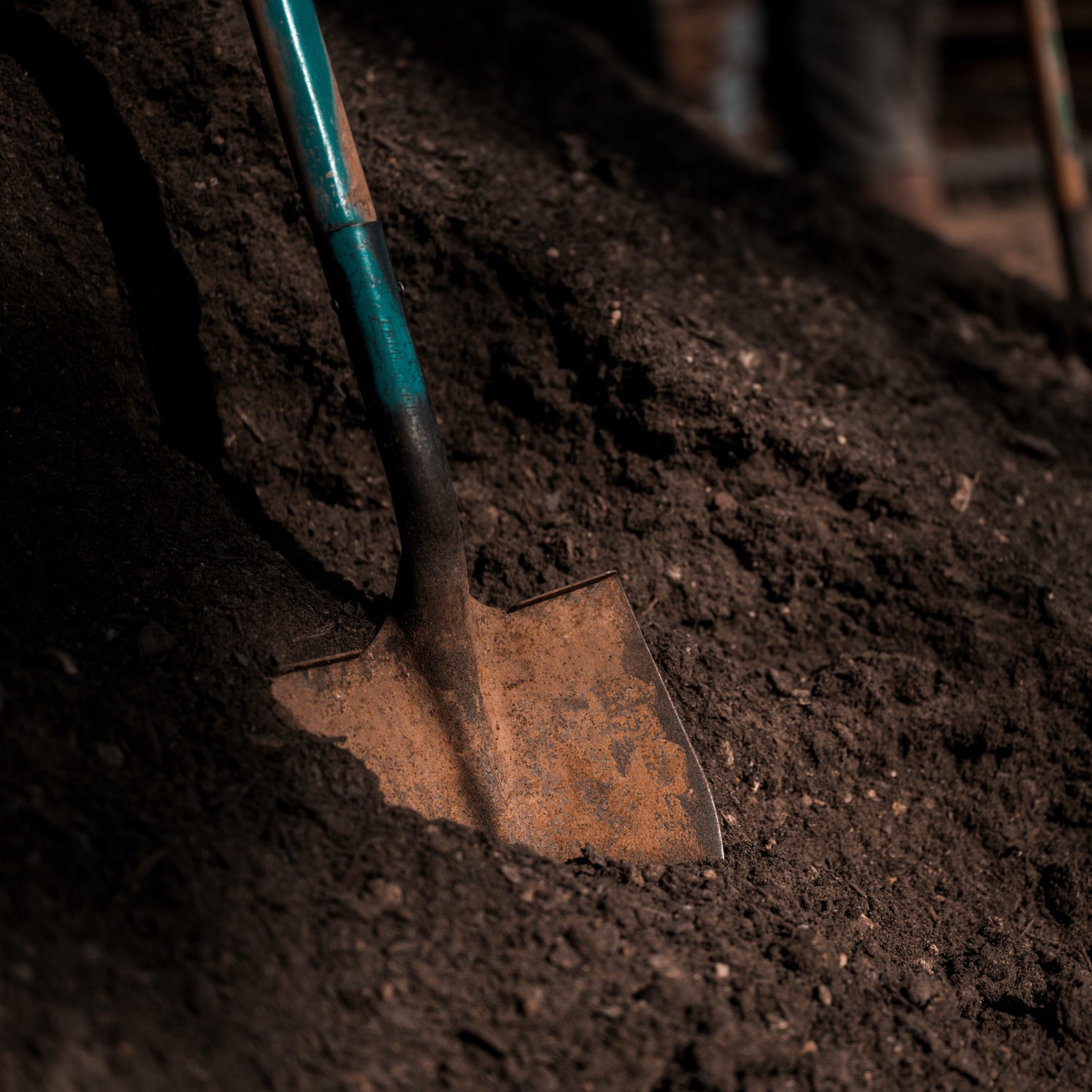 Four Reasons We Love Compost-Based Mixes