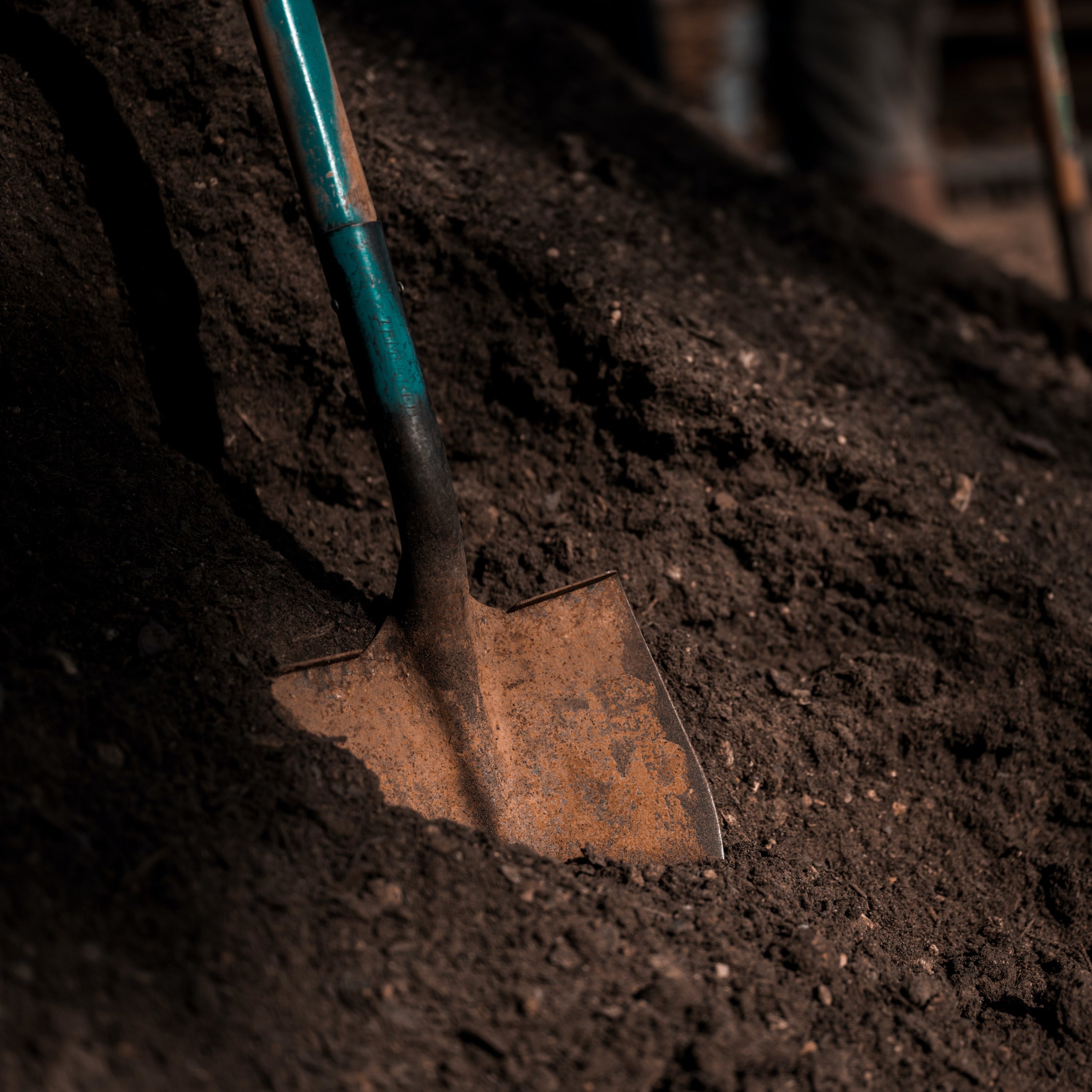 Four Reasons We Love Compost-Based Mixes