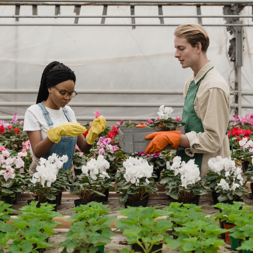 Grower Products 2023: Stock Up on Supplies for Your Best Spring Yet