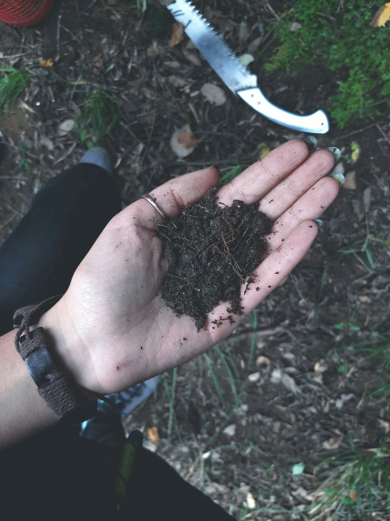 Play in the Dirt and Improve your Soil