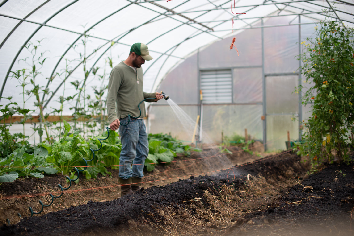 5 Reasons to Improve Your Greenhouse's Soil Biology