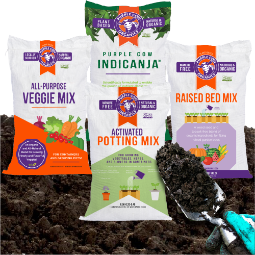 Spring Soil Galore: So Many Mixes, Find the Right One for You