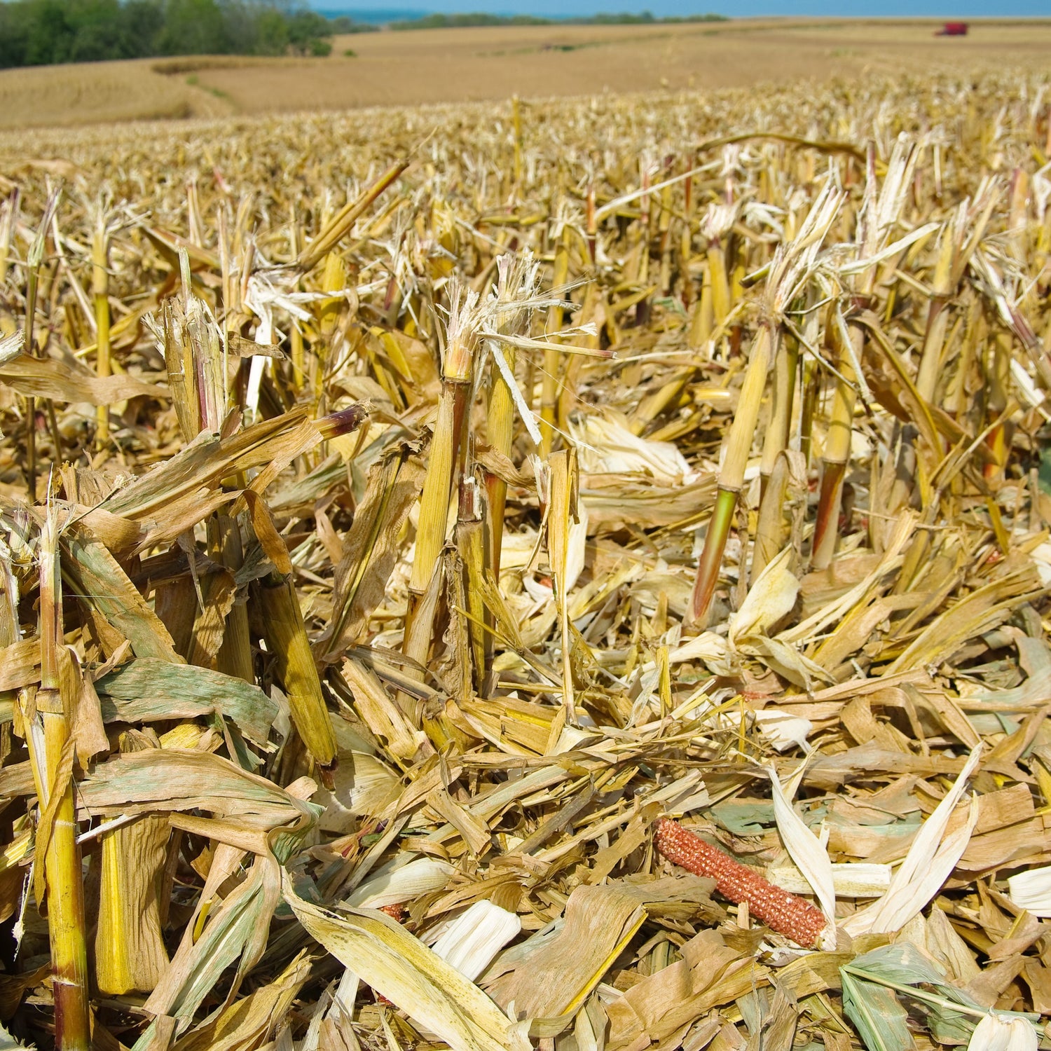 Crop Residue Management