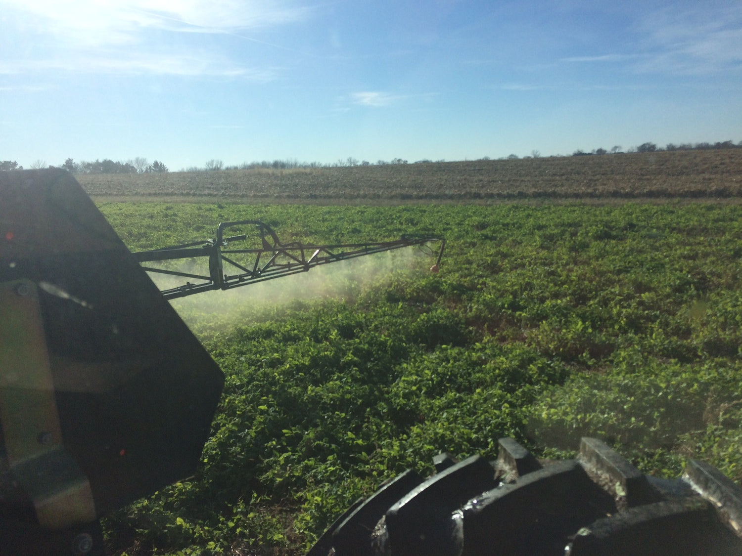 The Impact of Biology on Potassium and Phosphorus Availability
