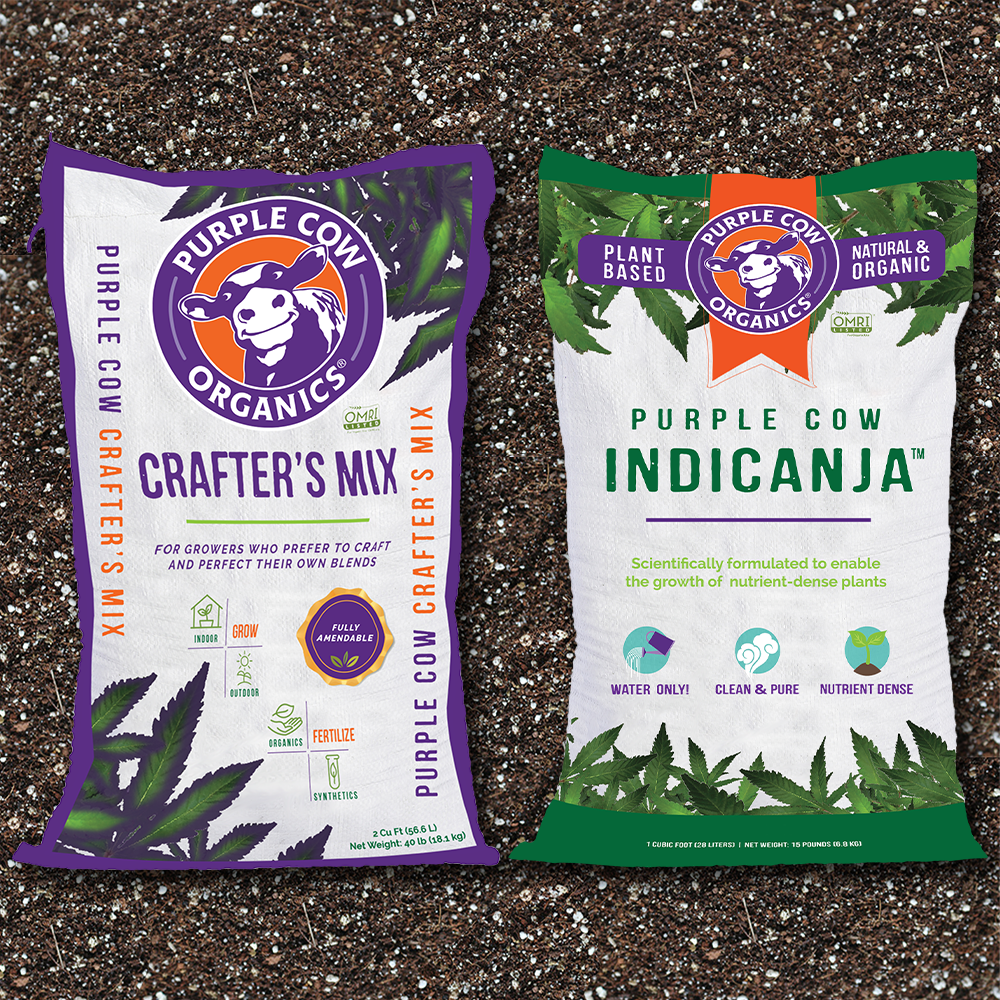 IndiCanja V.S. Crafter's Mix