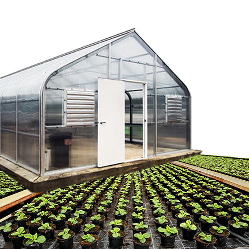 Greenhouse Growing
