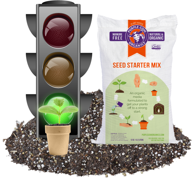 Ready, Set, Go Start Your Seeds!