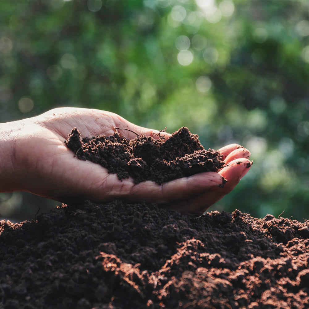 Compost V.S. CX-1