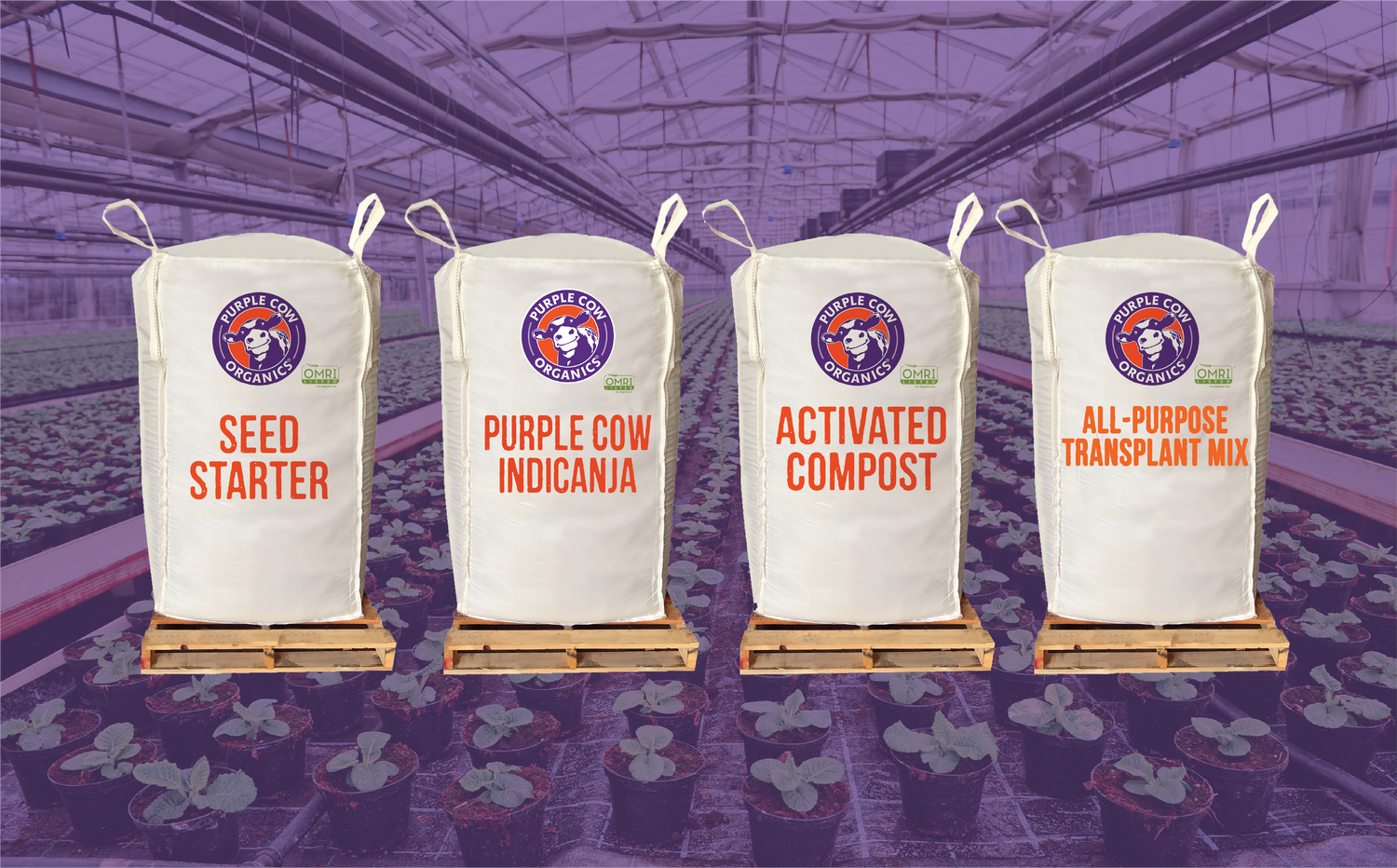 What the Bulk? Our Biggest Sale on Soil is Back!