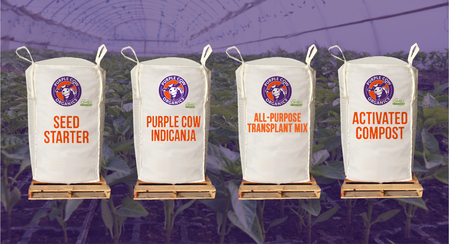 Supersacks with Super Soil