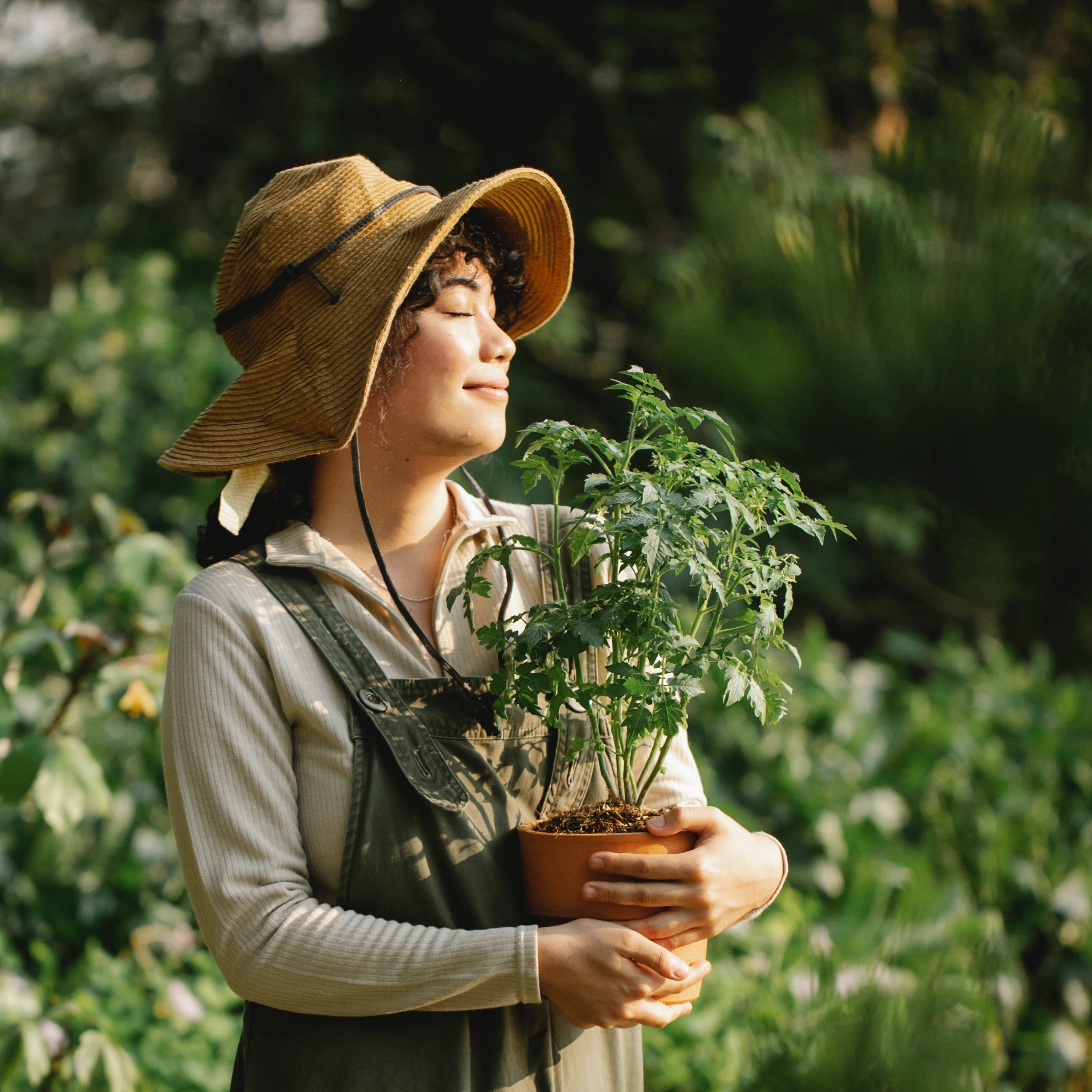 Why Gardeners Choose to Go Organic