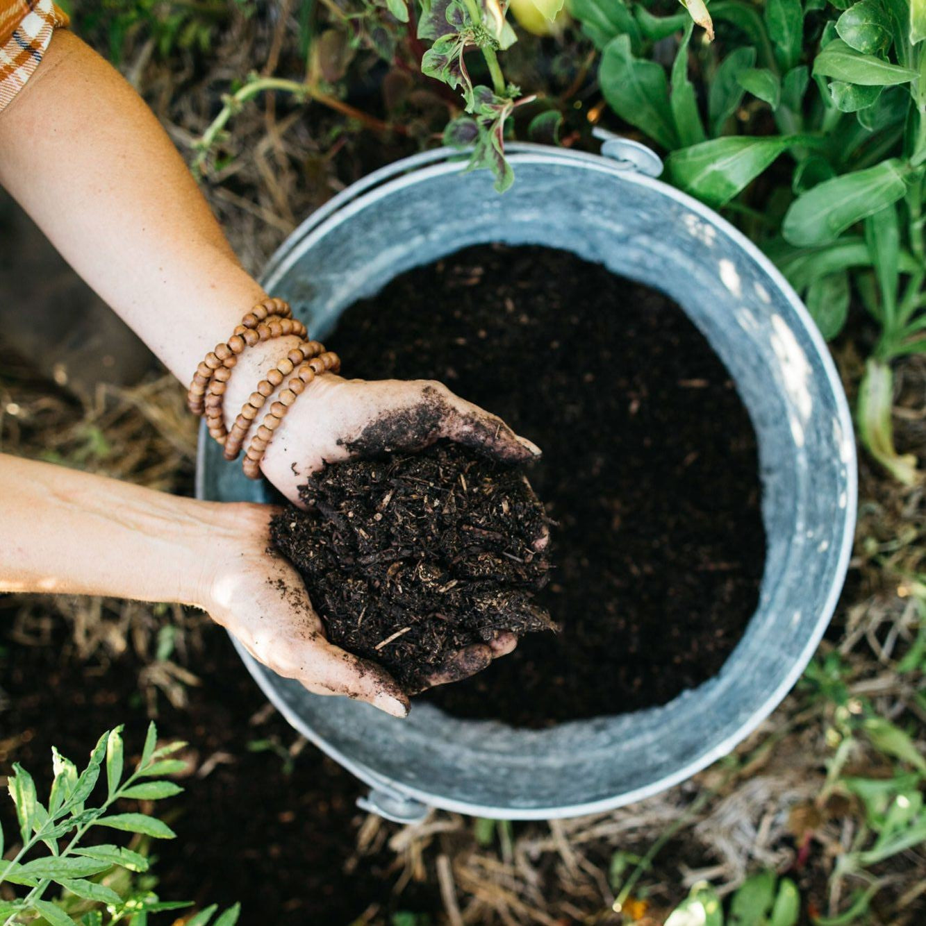 Add a Layer of Compost this Fall!