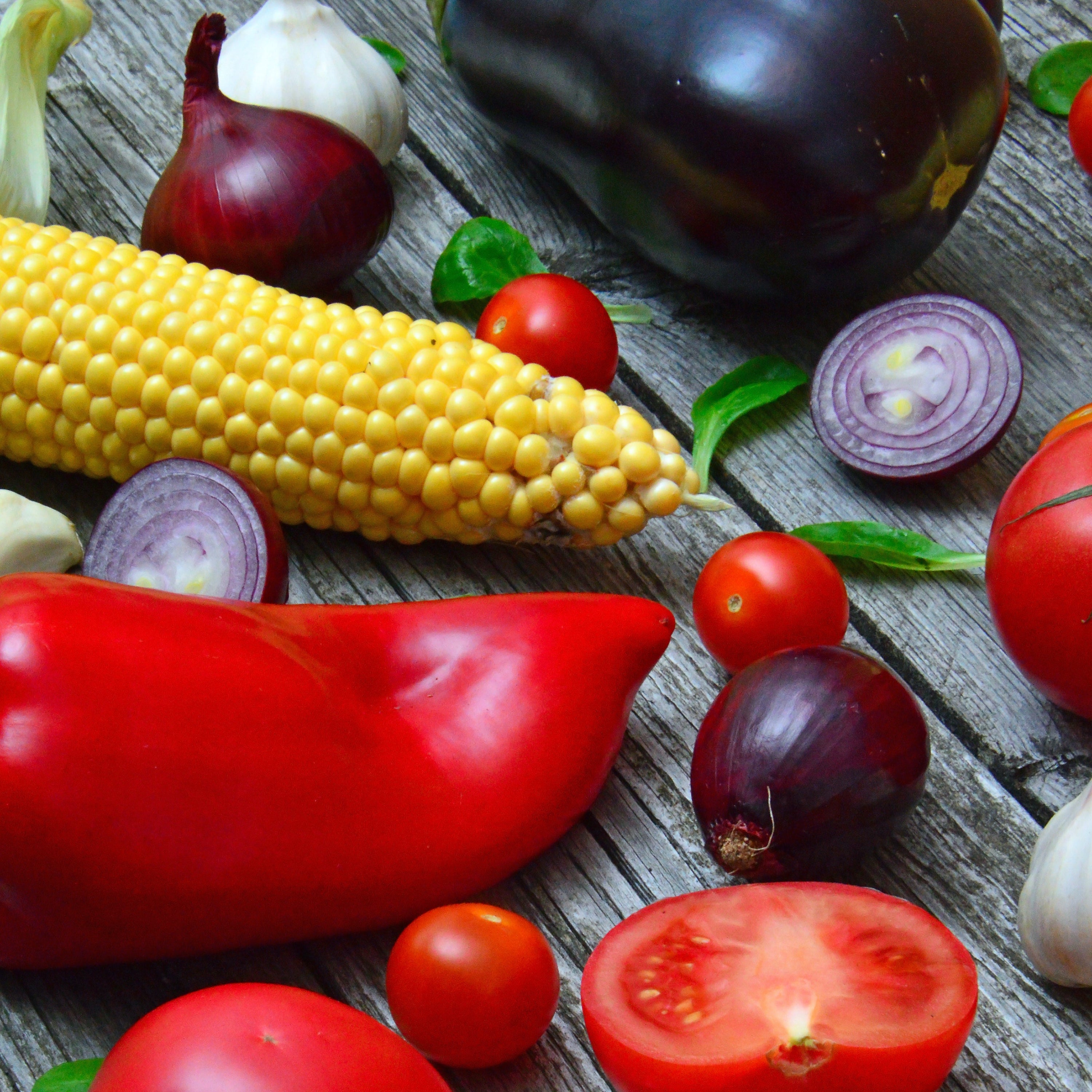 Harvest Time and Late Season Veggies!
