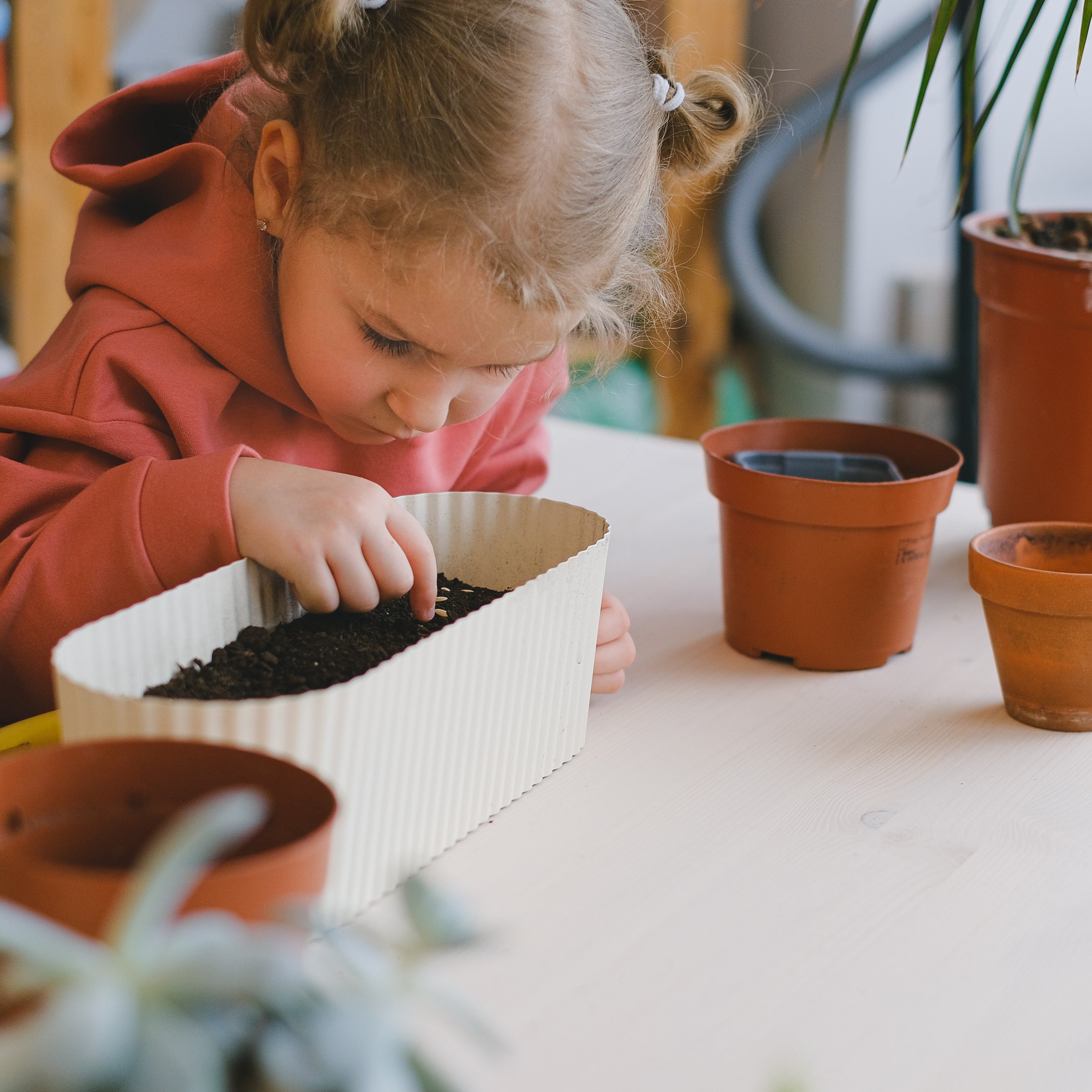 Start Fresh with Seed Starter