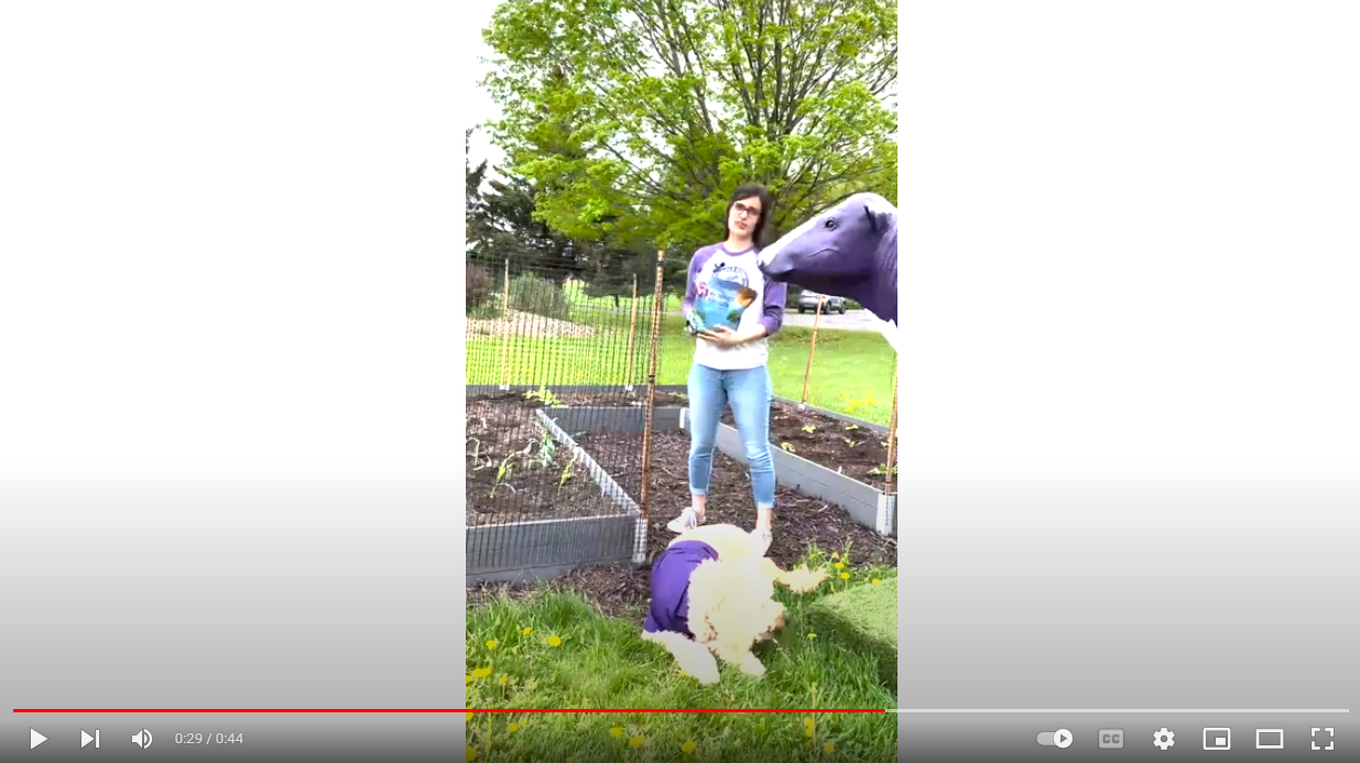 Load video: 